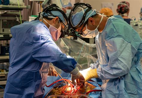 Transplant surgeon